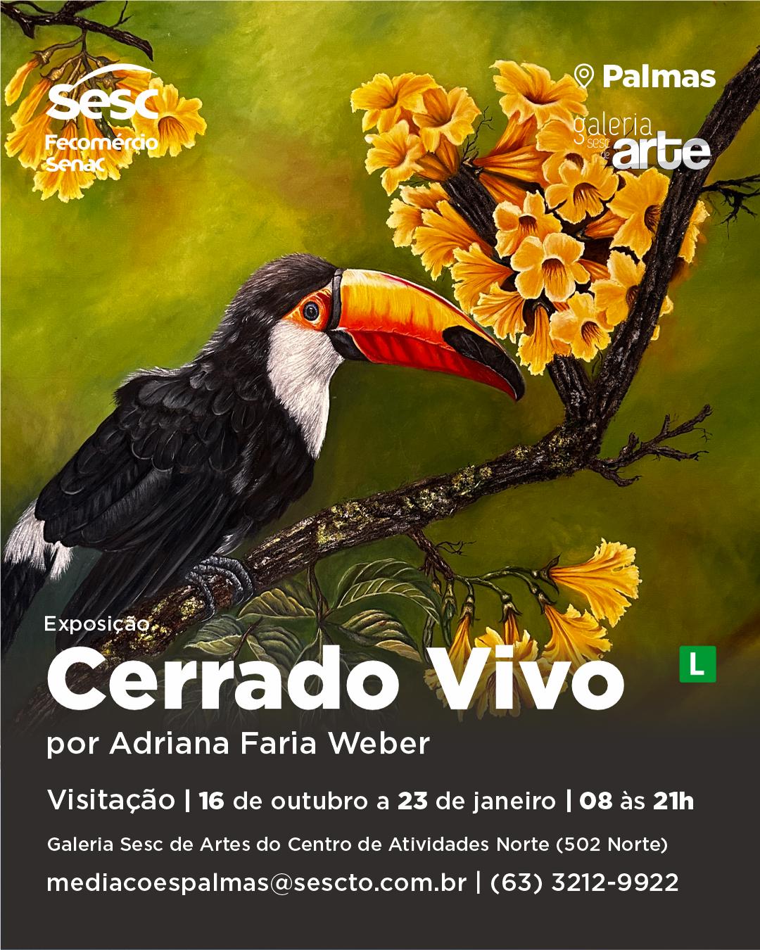 Imagem da programação