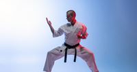 KARATÊ ADULTO TREINAMENTO - 3ª/5ª - 18H ÀS 18H45 